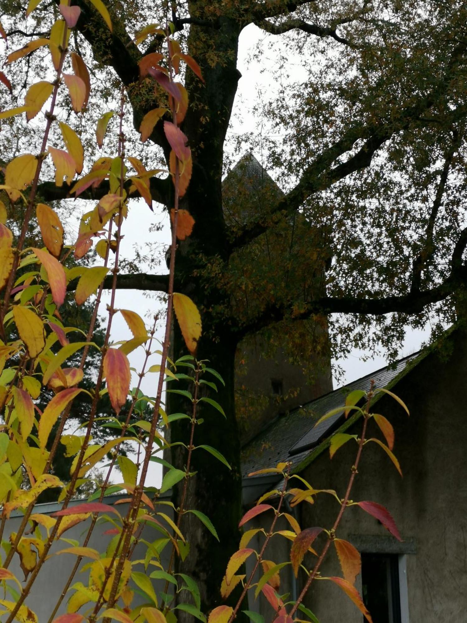 Le Moulin De La Retardiere Orvault Exterior foto
